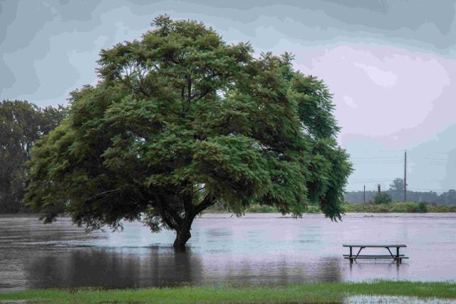 Flood situation likely to get worse in B.C. interior - https://cdn.connectfm.ca/02E759A6-C2A9-4E13-979B-DEF6A292C8BB_Story2326241_3222870.jpg