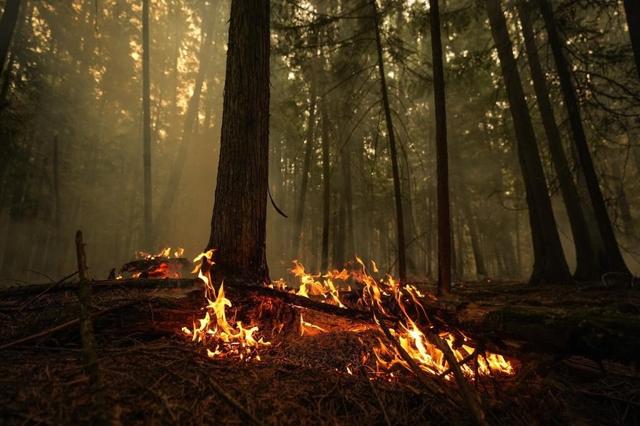 B.C. Wildfires: Province extends state of emergency for 2 weeks - https://cdn.connectfm.ca/04B44F05-D811-49D1-824F-41FC0DA617DA_Story2551179_3396420.jpg
