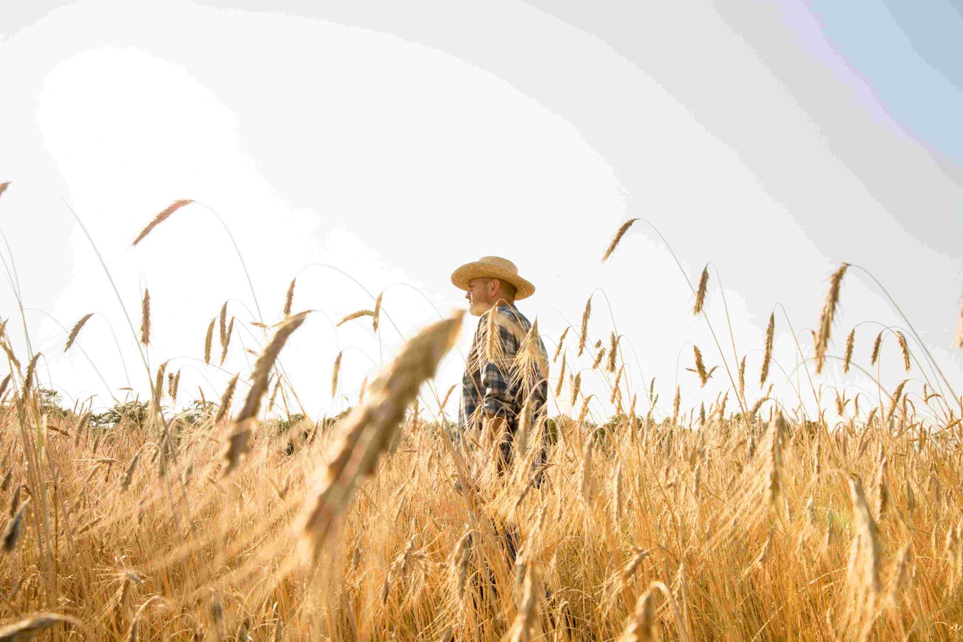 b-c-s-farmers-concerned-about-impacts-of-climate-change