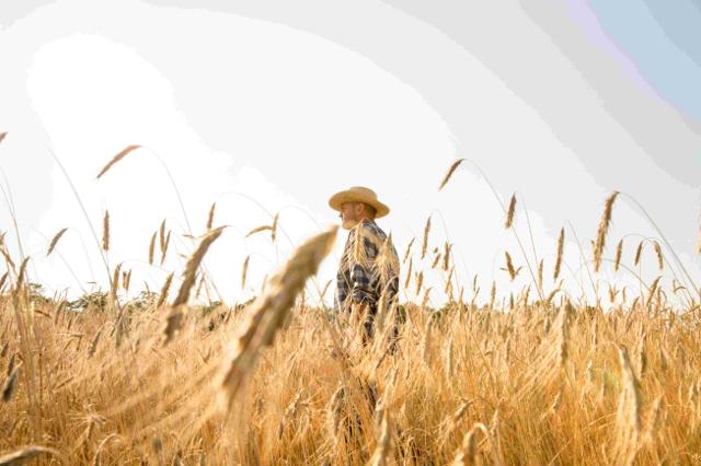 B.C.'s farmers concerned about impacts of climate change - https://cdn.connectfm.ca/087320F8-D9A6-4C5F-B11A-5DCFECD2DA62_Story2546701_3391233.jpg