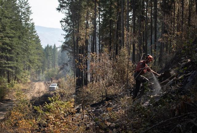 Number of wildfires in B.C. falls to below 250; cooler temperatures - https://cdn.connectfm.ca/1AA3C7E9-5F73-4B34-B07E-2F8498855340_Story1371362_1981522.jpg