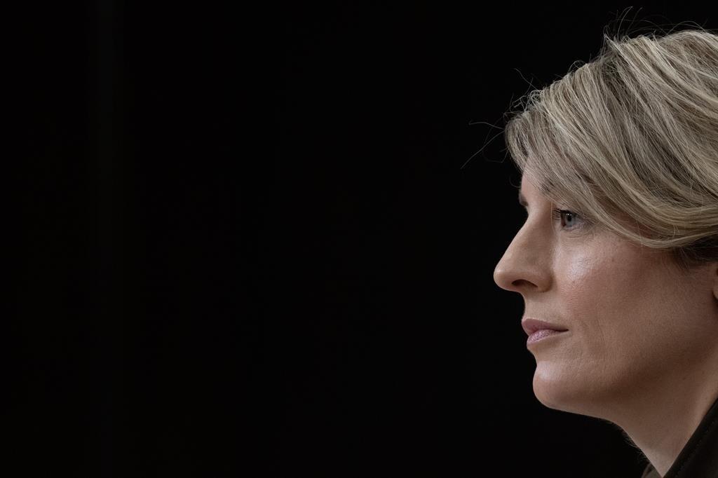 canadas-foreign-minister-arrived-in-israel-to-take-stock-of-situation