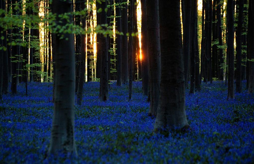 16-million-dollar-jackpot-winner-white-rock-man-shares-an-interesting-story