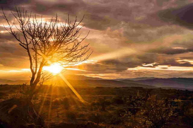 WorkSafe B.C. reminds employers to keep workers safe from heat stress - https://cdn.connectfm.ca/36F5DD2C-BB23-422C-B5C4-C18409B71CF8_Story2500942_3339853.jpg
