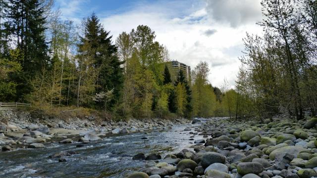 Anglers, hikers warned of river fluctuations on Capilano River - https://cdn.connectfm.ca/42F0EFF7-2B0A-40B2-BF80-B0F742F305B8_Story849825_1227180.jpg
