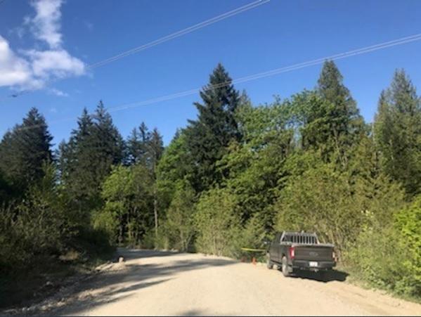 Woman attacked by a cougar has injuries to her head, face and arms: Conservation Officer Service - https://cdn.connectfm.ca/47961AD4-8AE9-4046-86CC-F4910F6730E5_Story1180130_1711153.jpg