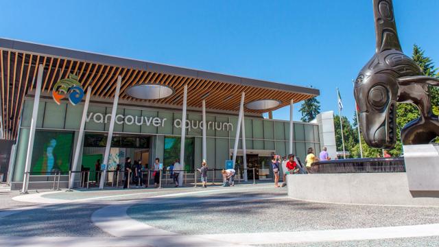Vancouver Aquarium is excited to officially reopen - https://cdn.connectfm.ca/4A6855EF-F3B9-4628-A817-6112AC33390F_Story1349163_1949755.jpg