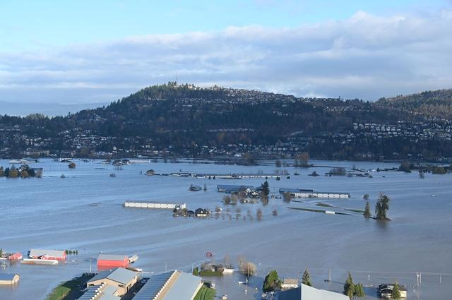 B.C. dairy farmers told to dump milk as flooding makes transport impossible - https://cdn.connectfm.ca/4E79C209-2972-4769-B369-74112AE611AD_Story1518006_2191845.jpg