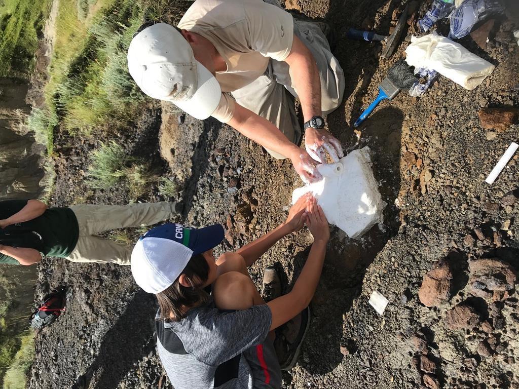 discovery-by-little-nathan-12-year-old-makes-fossil-find-in-southern-alberta