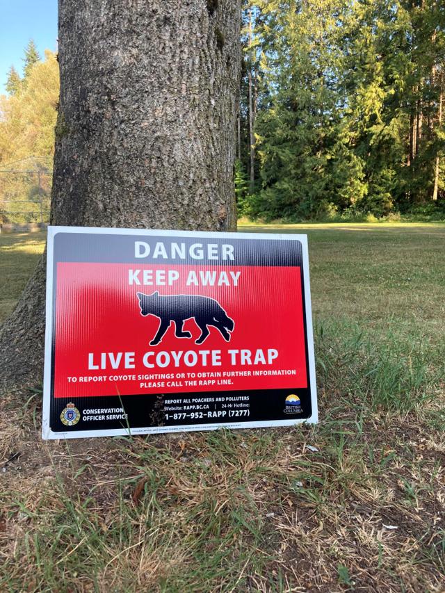Conservation officers search for coyote after boy bitten in Vancouver's Stanley Park - https://cdn.connectfm.ca/5D9AADB0-8C25-4A03-8A40-FBDC1A7830B1_Story1349164_1949595.jpg