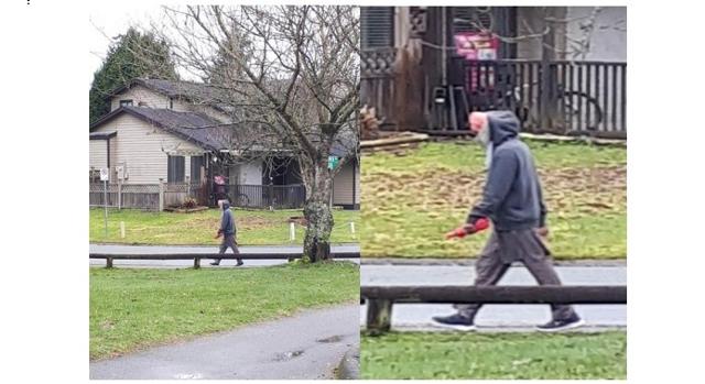 Suspect arrested in alleged sexual assault at a park in Surrey - https://cdn.connectfm.ca/5FDDC6BA-4358-47EF-987D-EF2B7A3C2772_Story1034483_1499978.jpg