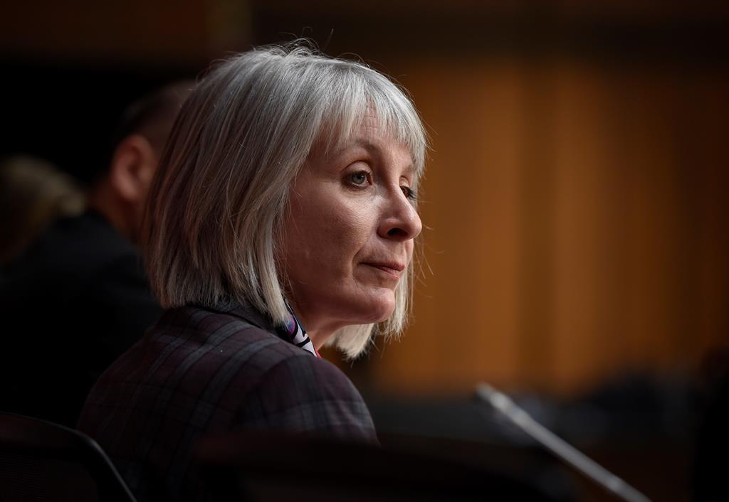 patty-hajdu-canada-is-paying-inflated-prices-for-personal-protective-equipment