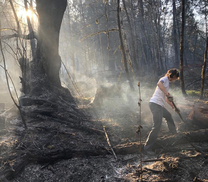 b-c-s-first-major-wildfire-of-2020-destroys-homes-near-squamish-witness