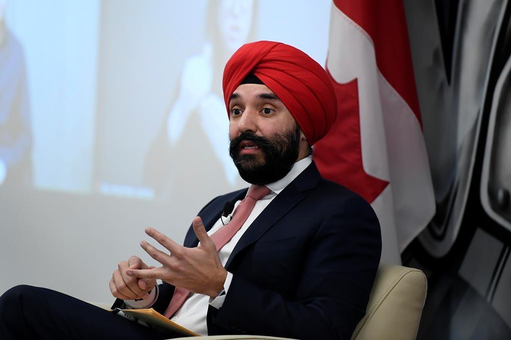 addressing-mental-health-issues-linked-to-pandemic-looming-issue-in-2021-bains-says