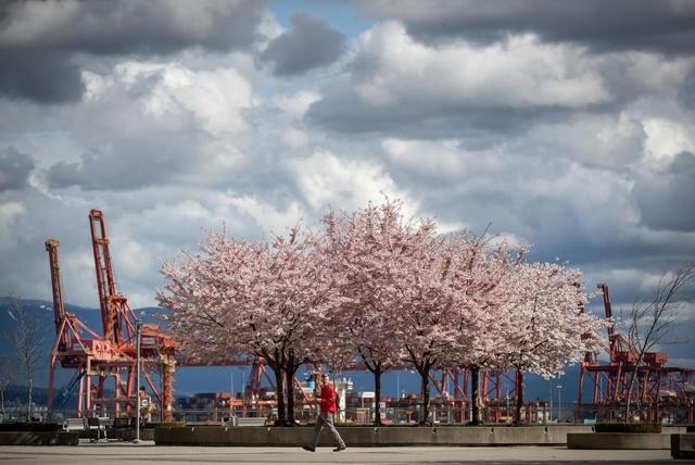 BC declares September 30 as statutory holiday to mark National Day for Truth and Reconciliation - https://cdn.connectfm.ca/6571F372-EB9C-43F1-82C0-3849A3F67494_Story2194463_3076683.jpg