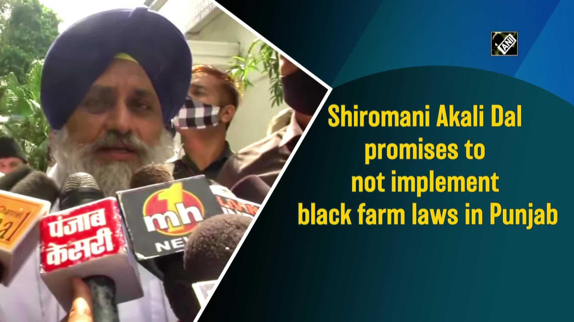 shiromani-akali-dal-promises-to-not-implement-black-farm-laws-in-punjab