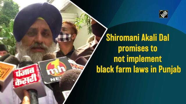 Shiromani Akali Dal promises to not implement black farm laws in Punjab - https://cdn.connectfm.ca/65DE7833-34FF-4B19-BFF2-2081B0EDA4EE_Story1408110_2035725.jpg