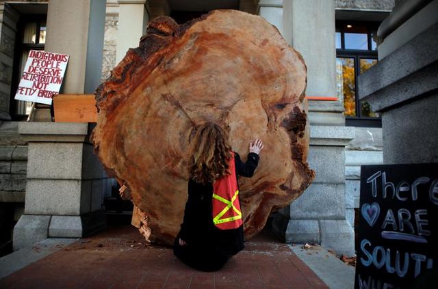 Letter signed by 200 leaders seeks protection for B.C.'s old-growth forests - https://cdn.connectfm.ca/6D457DA2-D55B-4CF0-AF36-90AA114B7B12_Story1445520_2088857.jpg
