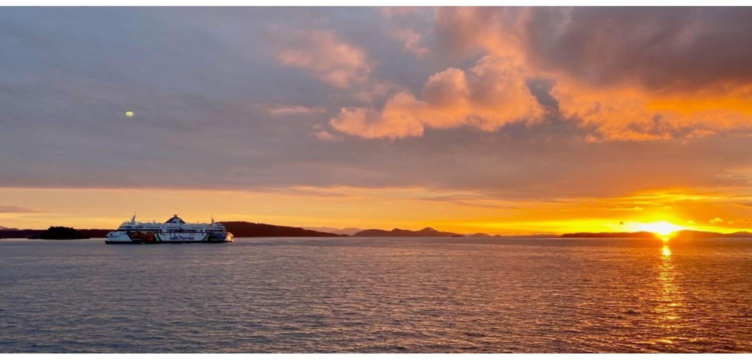 bc-ferries-sailing-delayed-after-a-passenger-went-overboard