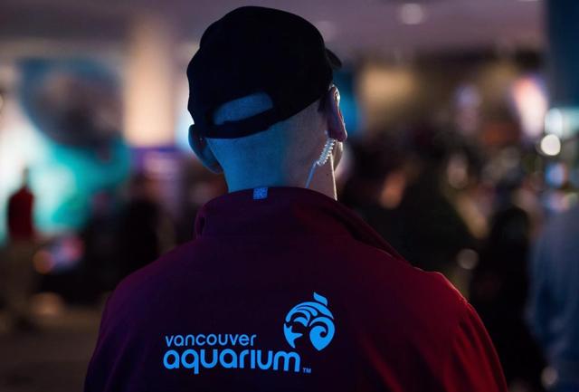 Vancouver Aquarium closes programming amid 'financially challenging' time - https://cdn.connectfm.ca/8313F4DA-3BE1-4F3C-A41D-ED20014CC083_Story786172_1137358.jpg