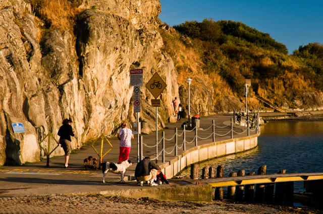 Cold-water swims appear to becoming a way to beat the COVID-19 blues - https://cdn.connectfm.ca/A368FD3A-E2B6-4651-A317-7A626B40454C_Story1003540_1454125.jpg