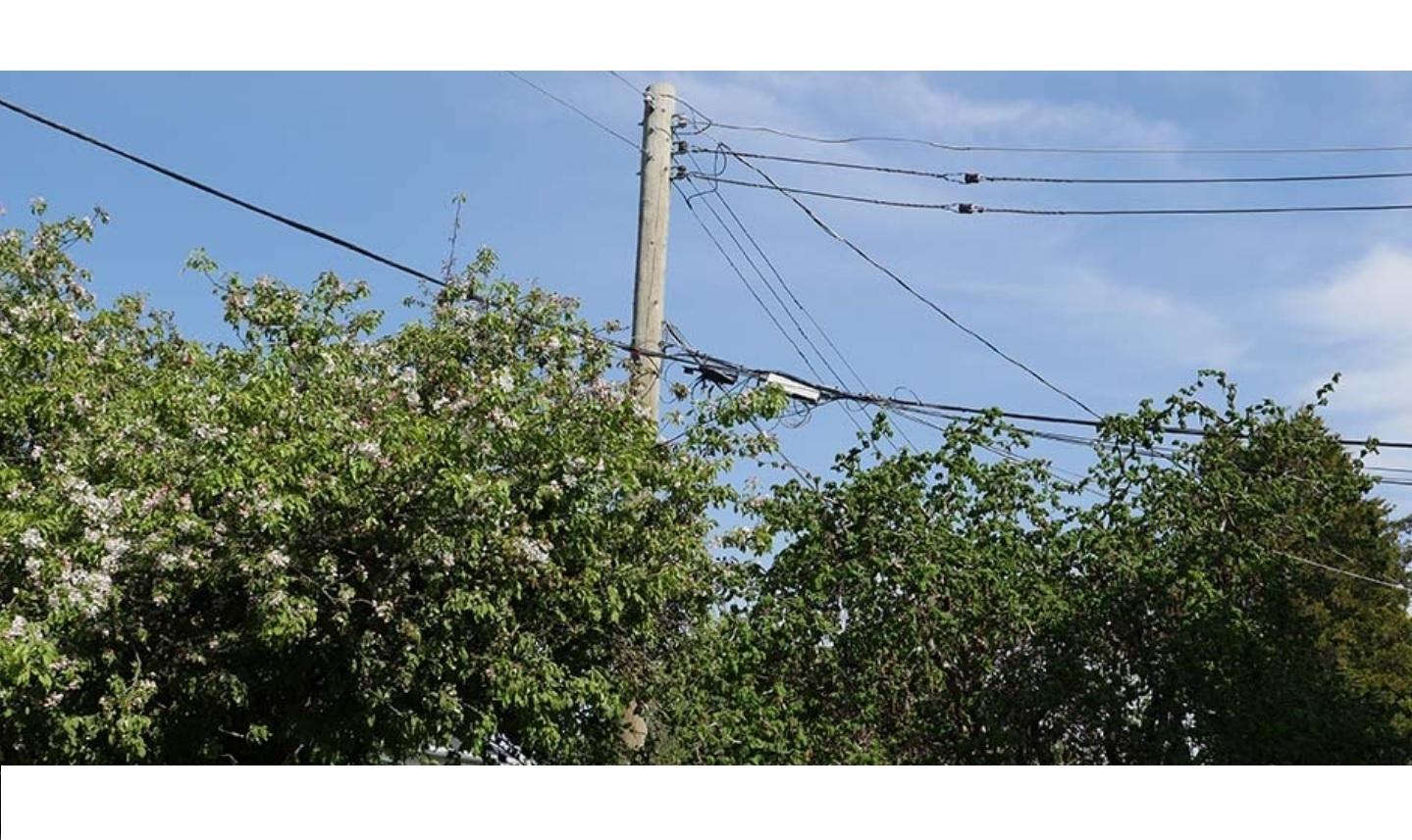 bc-hydro-report-raises-safety-concerns-as-pandemic-prompts-jump-in-yard-work