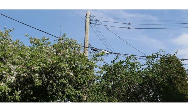 BC Hydro report raises safety concerns as pandemic prompts jump in yard work - https://cdn.connectfm.ca/A3BADD01-47B6-47C7-86D7-C11853E2BCD3_Story1183969_1715970.jpg