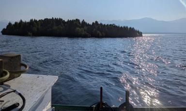 mysterious-floating-island-spotted-on-b-c-s-williston-lake-boaters-warned-to-stay-away