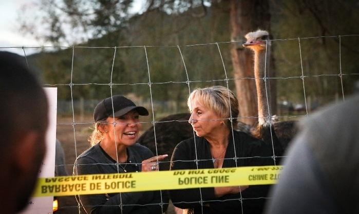 supreme-court-decision-to-determine-future-of-b-c-ostrich-flock-amid-avian-flu-dispute