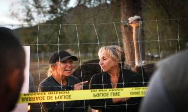 supreme-court-decision-to-determine-future-of-b-c-ostrich-flock-amid-avian-flu-dispute