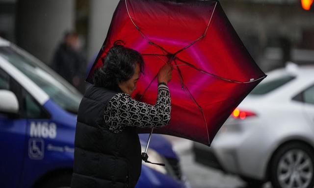 Lights back on for almost all BC Hydro customers who lost power in strong winds - https://cdn.connectfm.ca/BC-Hydro_2024-11-05-183910_zicu.jpg