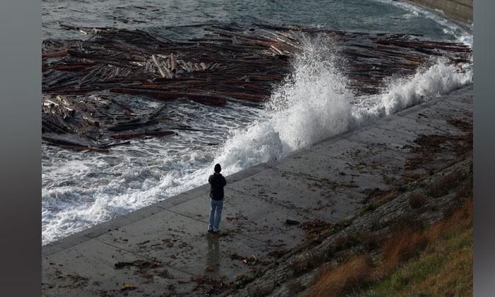 bc-hydro-says-most-power-outages-fixed-after-bomb-cyclone-but-new-storm-looms