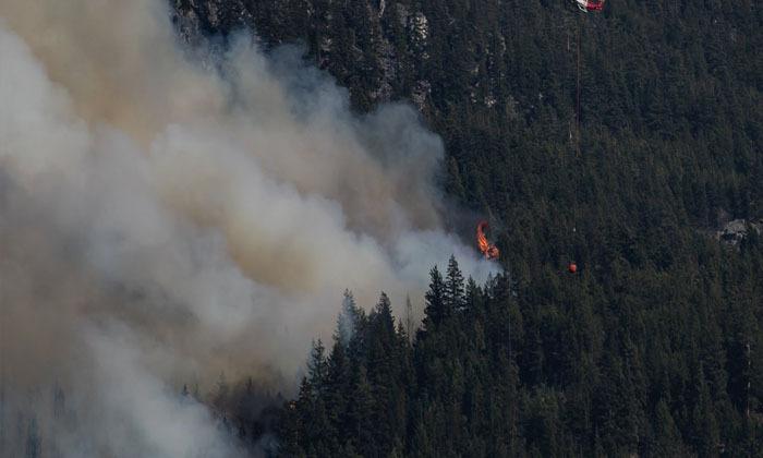 number-of-active-wildfires-in-b-c-jumps-to-120-with-half-started-in-last-24-hours