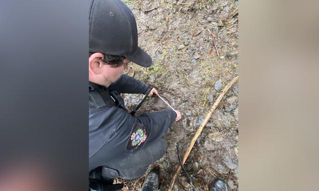 Search continues for grizzly after Bella Coola school group attacked, Nuxalk Nation raises support funds - https://cdn.connectfm.ca/Bella-Coola.jpg