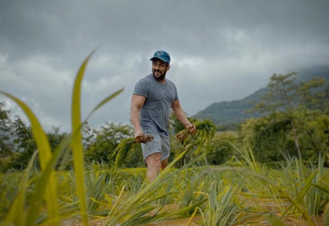 Radhe Vs Satyameva Jayate 2 - https://cdn.connectfm.ca/C7509B17-4171-4A88-9F72-D18E08DCE9FC_Story1017203_1473846.jpg