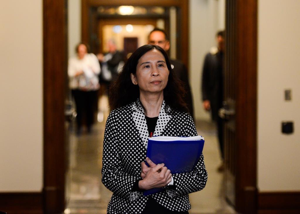 dr-theresa-tam-canada-is-monitoring-children-for-signs-of-the-inflammatory-syndrome-known-as-kawasaki-disease