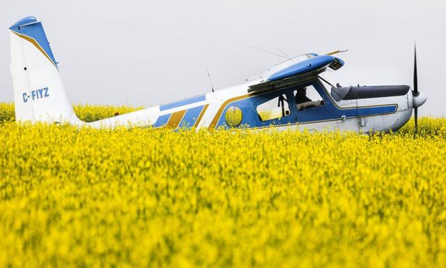 Carney pledges $370M in incentives for canola sector - https://cdn.connectfm.ca/Carney-pledges.jpg