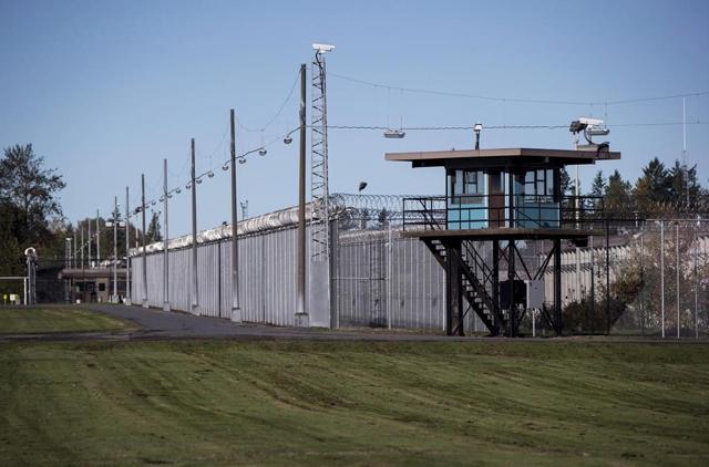 Drug Smuggling: Guards union says second pigeon with a backpack found in B.C. prison - https://cdn.connectfm.ca/D390B3C7-EADE-4035-A4DE-C3261FE49E86_Story2253812_3142162.jpg