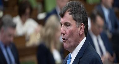 canada-welcomes-u-s-supreme-court-ruling-striking-down-trump-emergency-tariffs-but-sector