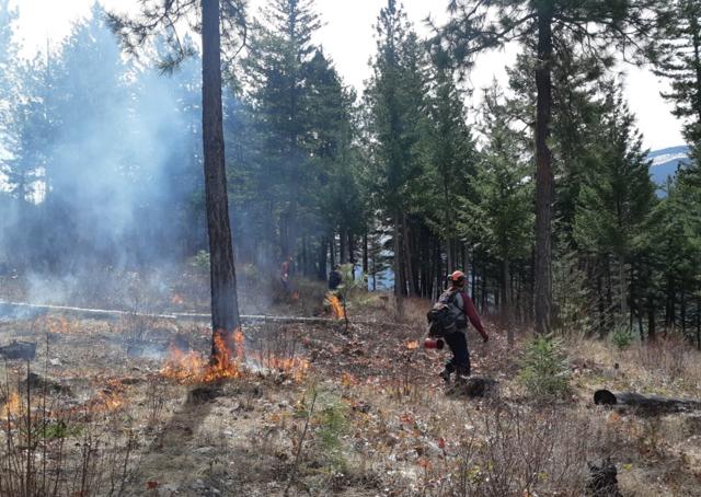 B.C. wildfire statistics released by govt. - https://cdn.connectfm.ca/E5269171-0652-45B5-BD02-1790ED6DF815_Story1314954_1901094.jpg