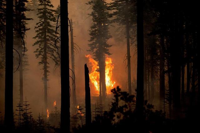 President Trump issues disaster declaration for Oregon wildfires - https://cdn.connectfm.ca/E8A1FCB2-EDEA-4FF1-A63F-D72C21040885_Story812337_1173886.jpg