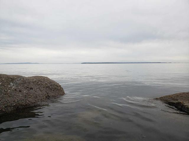 Nanaimo fisherman has a wild tale to tell and has a video to back up his story - https://cdn.connectfm.ca/EC5501C3-9C85-4CC6-A6AA-1F7D13844C73_Story1298593_1878553.jpg
