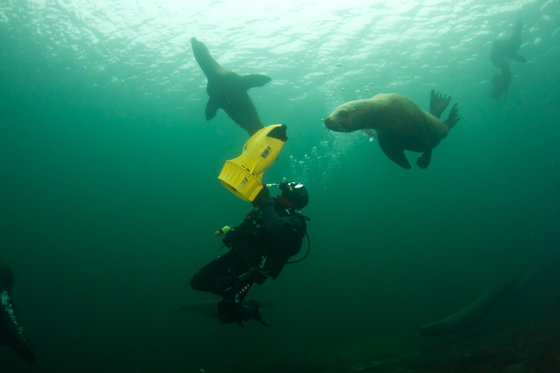 64-year-old-man-dead-during-a-scuba-diving-outing-off-west-vancouver