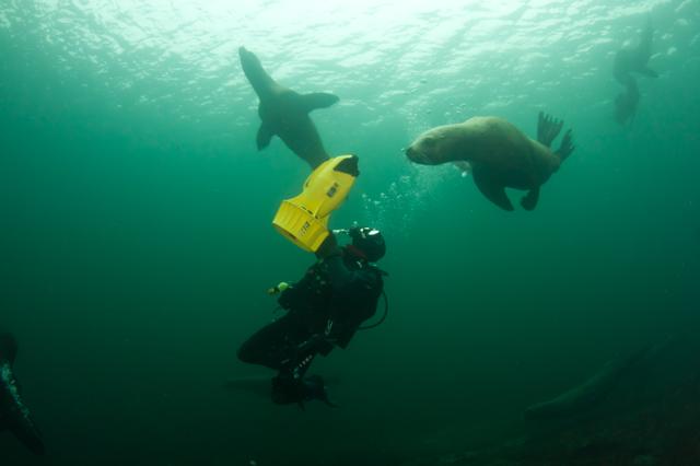 64 year old man dead during a scuba-diving outing off West Vancouver - https://cdn.connectfm.ca/ECF5E8A5-ABEB-4838-A70E-7064F5F1EB99_Story981091_1420995.jpg