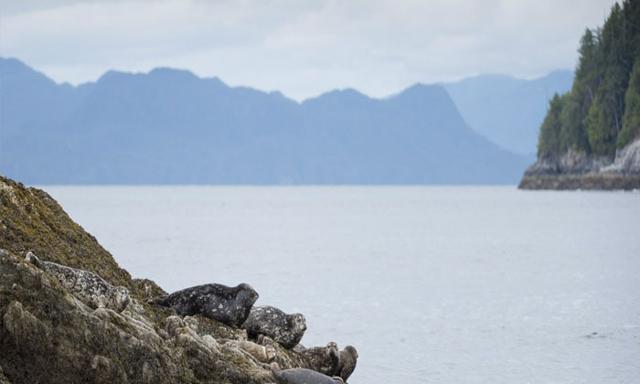 Heavy rain warning issued for B.C. north coast as Pacific storm moves in - https://cdn.connectfm.ca/Environment-Canada_2025-12-29-182208_zpxw.jpg