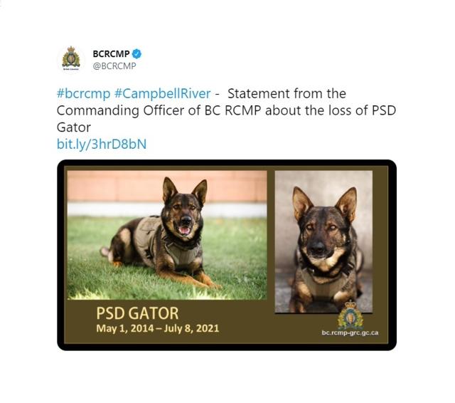 Man and police dog are dead in what RCMP say was a 'confrontation' in B.C. city - https://cdn.connectfm.ca/F52B983D-4239-47A5-9D53-178DE3276281_Story1290502_1867211.jpg