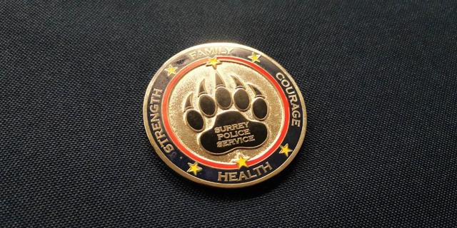 Surrey Police Board Clarifies Role of City Council in the Surrey Police Transition - https://cdn.connectfm.ca/F74D1005-863A-475D-94E6-D2C06506F5A6_Story1320358_1908613.jpg