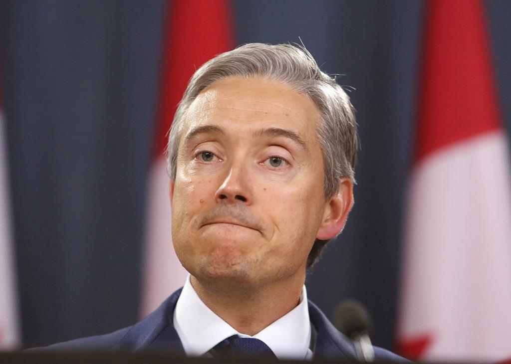 foreign-affairs-minister-in-london-to-chair-a-meeting-on-plane-crash