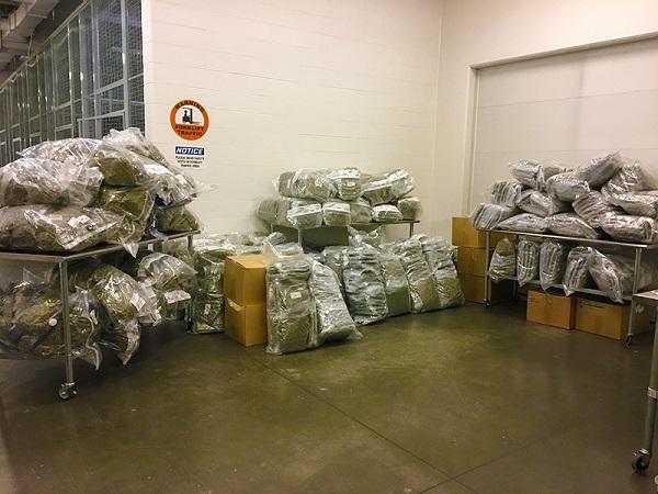 Four men charged in connection to cannabis exportation investigation  - https://cdn.connectfm.ca/FBE36DB6-0687-4C82-B626-B91F6A00E6F7_Story877406_1266938.jpg