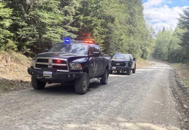 Man seriously injured after being attacked by a black bear in B.C. - https://cdn.connectfm.ca/FF1DC844-CDB9-42BD-8FAB-3671574CF205_Story1343781_1942270.jpg